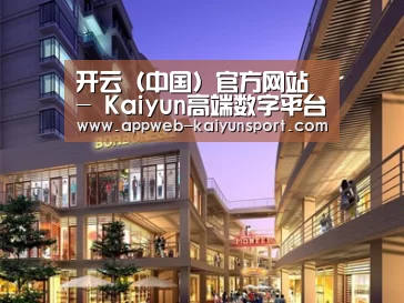 案例展示一