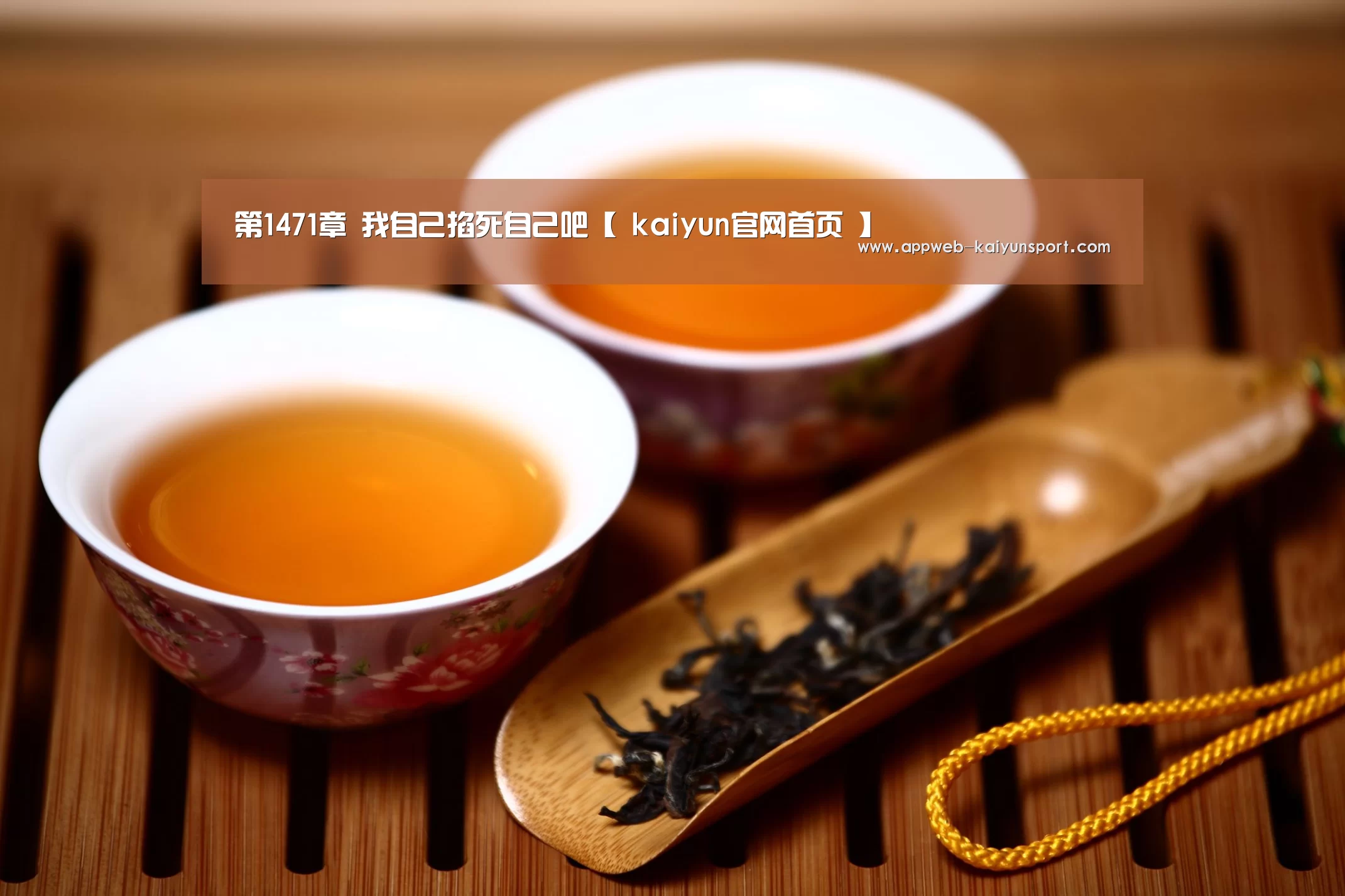 第1471章 我自己掐死自己吧【 kaiyun官网首页 】(图3) 即时比分入口