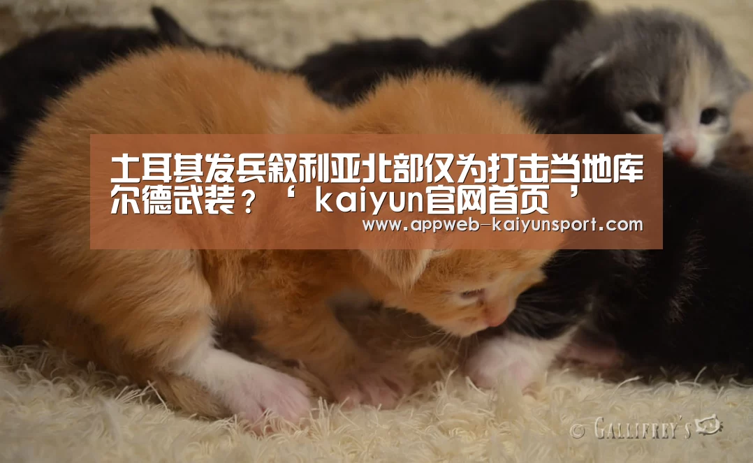 土耳其发兵叙利亚北部仅为打击当地库尔德武装?‘ kaiyun官网首页 ’(图3) kaiyun官网首页