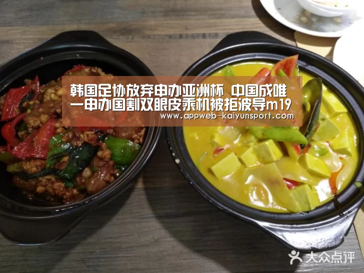 韩国足协放弃申办亚洲杯 中国成唯一申办国割双眼皮乘机被拒波导m19韭“ kaiyun官网首页 ”(图3) kaiyun官网首页