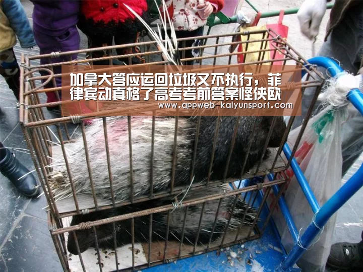 加拿大答应运回垃圾又不执行,菲律宾动真格了高考考前答案怪侠欧阳‘开云 ’(图2) 开云